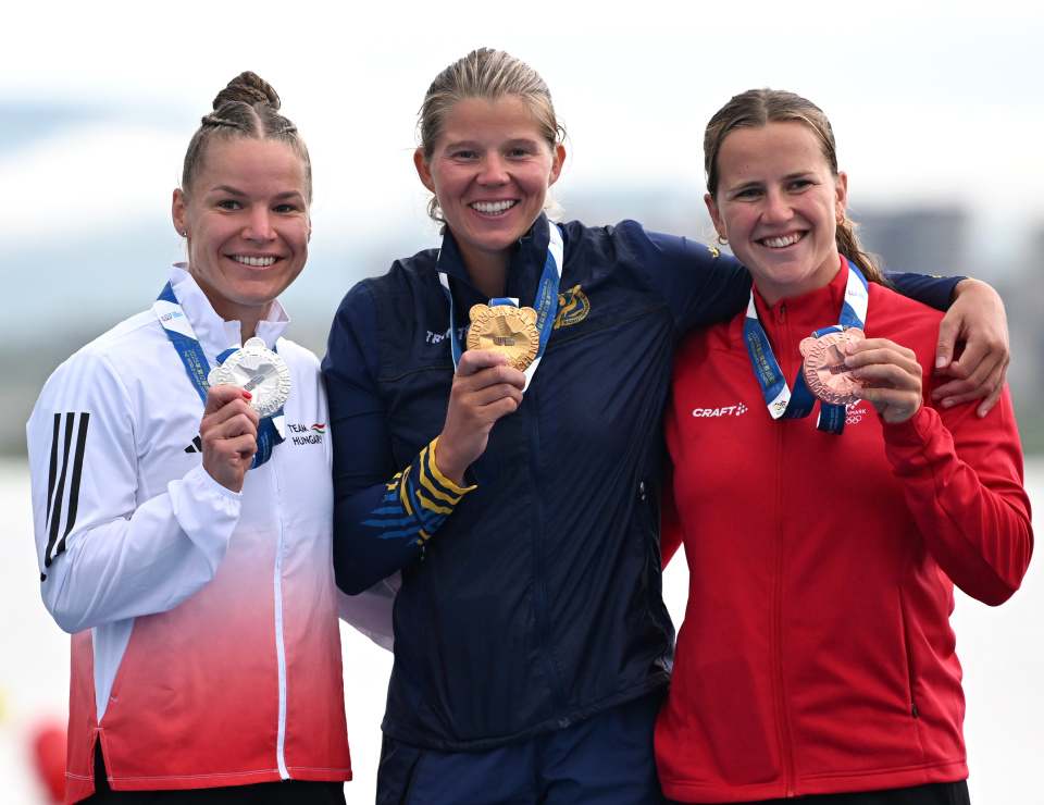 DPjip, lFiyB, cH DPjip, lFiyB, cH