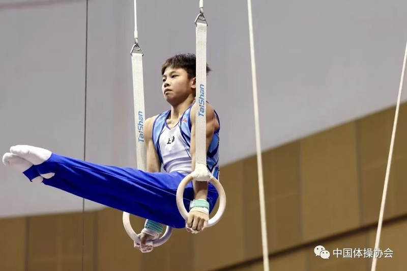 教练倪骏和, 体冠军和各